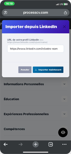 Modèle de CV Professionnel