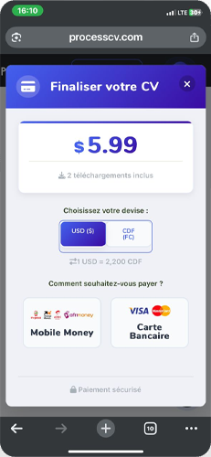 Modèle de CV Créatif